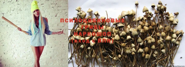 ALPHA-PVP Волосово